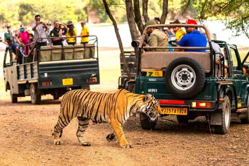 Ranthambore